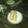 El cooksnap de jaime jose arias rojas cuando hizo Fajitas Mejicanas.