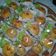 Cooksnap dari Rara Dwiayu untuk resep Panada (donat isi kentang, wortel, ayam)