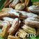 Cooksnap dari nissa Nisa untuk resep Churros Coklat