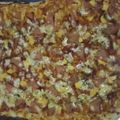 El cooksnap de Jose Adrian CL cuando hizo Pizzas caseras.