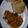 Shivani Mathur's cooksnap of when they made Mixed Flour Chole Bhature.