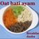 Cooksnap dari Sitta Ranggi Selia untuk resep Mpasi 10+ : Bubur Oat Hati Ayam