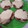 El cooksnap de Marce cuando hizo Galletitas integrales, súper fáciles y riquísimas!.