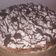El cooksnap de Magdalena Machuca cuando hizo Bizcochuelo especial para tortas🎂.
