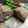 Cooksnap Master Jamal semasa beliau membuat Baked Chicken Cordon Bleu | SUPER EASY.