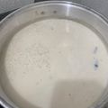 El cooksnap de Blanca E. Castillo cuando hizo Arroz con leche.