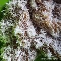 Cooksnap dari Rabiatul Adawiyah Hasbullah untuk resep Ongol Ongol Labu Kuning Keju