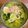 Cooksnap dari varellona untuk resep Soto Lamongan Simple with Koya