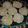 Donna J King's cooksnap of when they made Cool Whip Cookies.