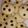 El cooksnap de mariana cuando hizo Galletas sin huevo y con chips de chocolate.