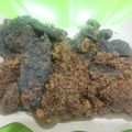 Cooksnap dari Indah KaLo untuk resep Paru Sapi Goreng, empuk dan renyah