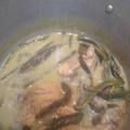 El cooksnap de Felipe Cesar Vega Garcia cuando hizo Pollo en salsa verde con rajas de chile poblano y calabacitas.ॐ.