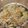 Haniyah Arham's cooksnap of when they made வெஜ் எக் நூடுல்ஸ்.