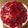 Cooksnap από Paraskevas Antonakis στη συνταγή Λατρεμένο cheesecake
