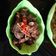 Cooksnap dari Arvino Razzan untuk resep Ati ampela bumbu kecap part 2