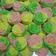 Cooksnap dari mell untuk resep Bolu Kukus Mawar ceria