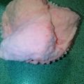 Cooksnap dari Devon Diknas untuk resep Bolu kukus takaran sendok