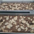 Cooksnap dari Gek Khun (GK) untuk resep Shiny Brownies