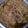 Madhurima का कुकस्नैप जब उन्होंने गोभी का पराठा (gobhi ka paratha recipe in Hindi) बनाया था।