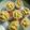 Cooksnap dari Winda Sesa untuk resep Bolu Kukus Mekar (Ubi Ungu,Labu Kuning,Pandan)