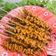 Cooksnap dari Suha von Keunne untuk resep Sate Usus Angkringan