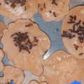 Cooksnap dari yaomil lulu akhir untuk resep Kue Cubit Takaran Sendok