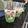 Cooksnap dari vvhe untuk resep Fla Pudding (homemade)