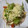 El cooksnap de Laura Ligero Baldomero cuando hizo Quesadillas con pollo, setas y guacamole casero.