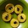Cooksnap dari Citra Sullyandra untuk resep Lumpur pumpkin
