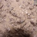 Susan Melton's cooksnap of when they made Beef Stroganoff.