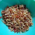 Cooksnap dari Delia untuk resep Sambal Teri Tahan Lama
