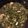 Demetra Moore's cooksnap of when they made Collard Greens with Smoked Turkey Leg.