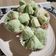 Cooksnap dari anggi untuk resep Bolu Kukus Mekar Mereka Sprite Anti Gagal