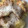 El cooksnap de victoriamanzano76 cuando hizo Postre de manzana, manteca de maní y coco! Una exquisitez súper saludable!.