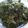 Kanumay's cooksnap of when they made Kale Chips.