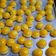 Cooksnap dari Heni Wulan Sari untuk resep Nastar Renyah ala tintin rayner