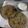 Anjali Sakariya 's cooksnap of when they made પાલક મિક્સ વેજી ટેબલ પરોઠા.