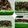 Cooksnap dari subiyan untuk resep Brownies kukus pandan ny Liem