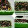Cooksnap dari subiyan untuk resep Brownies kukus pandan ny Liem