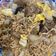 安安廚房 的 （清冰箱料理）炒泡麵 cooksnap