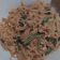 Cooksnap dari Safitri Fani untuk resep Indomie Nyemek Ala Burjo