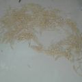 El cooksnap de Esperanza Quintana cuando hizo Fideos Caseros Económicos y Rendidores.
