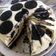 Cooksnap dari koenyitz untuk resep Frozen Oreo Cheesecake (No Baking)