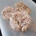 El cooksnap de Sofía Rodriguez cuando hizo Galletas de Avena para diabéticos.