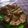 Cooksnap dari Memey Winda untuk resep Telur Dadar Tahu