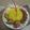 Cooksnap dari Mba Iwik untuk resep Nasi kuning ricecooker