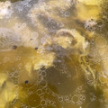 El cooksnap de @tesa.cuina cuando hizo Caldo Casero de pollo.