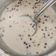 Sonal Gaurav Suthar's cooksnap of when they made દૂધપાક (Dudhpaak Recipe In Gujarati).