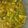 Shivani Varshney's cooksnap of when they made Dry Mango pickle !!.