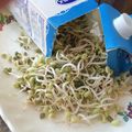 Cooksnap của Hương Lê khi họ làm theo món Giá đỗ của Rùa